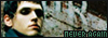  Songs: My Chemical Romance - Honey, This Mirror Isn't Big Enough for the Two of Us